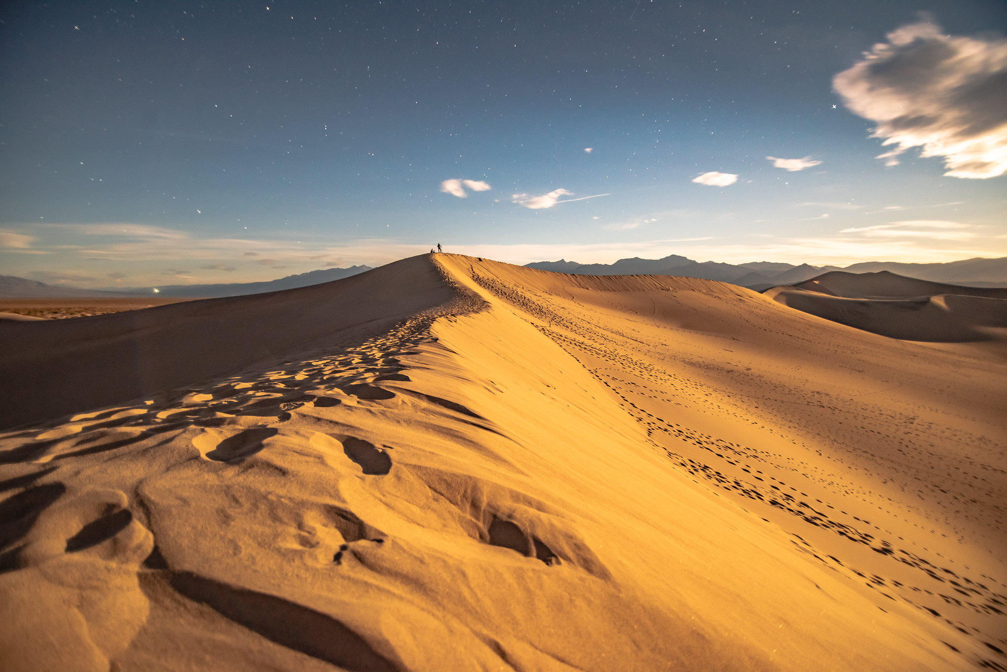 Mesquite dunes under moon 
